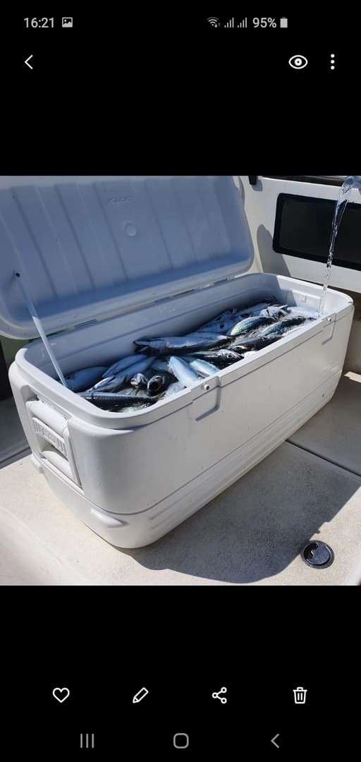 FISHING TRIPS BAR - photo 10