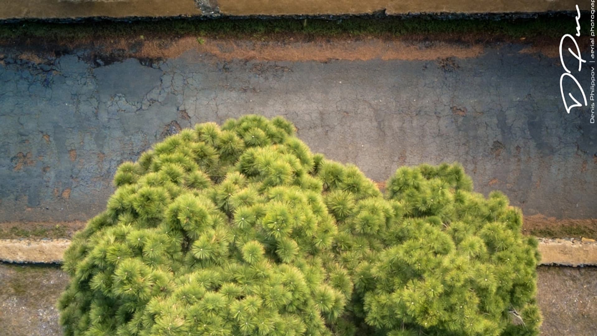 Canary on a Catamaran 2026 - photo 4