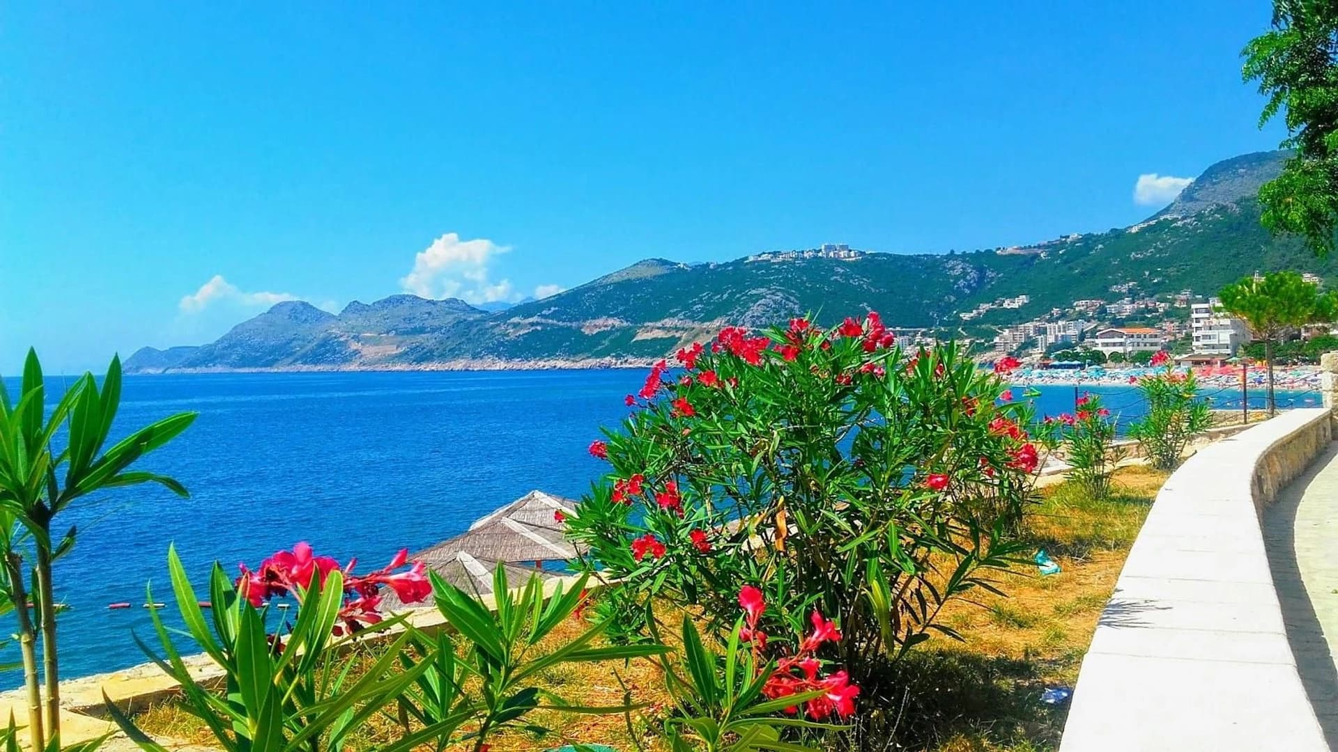 MotorYacht Bar tour - photo 9