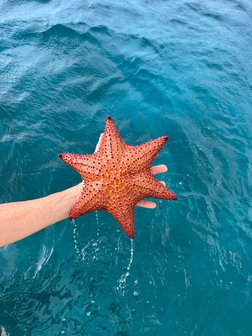 Family Sailing cruise in the Caribbean - photo 4