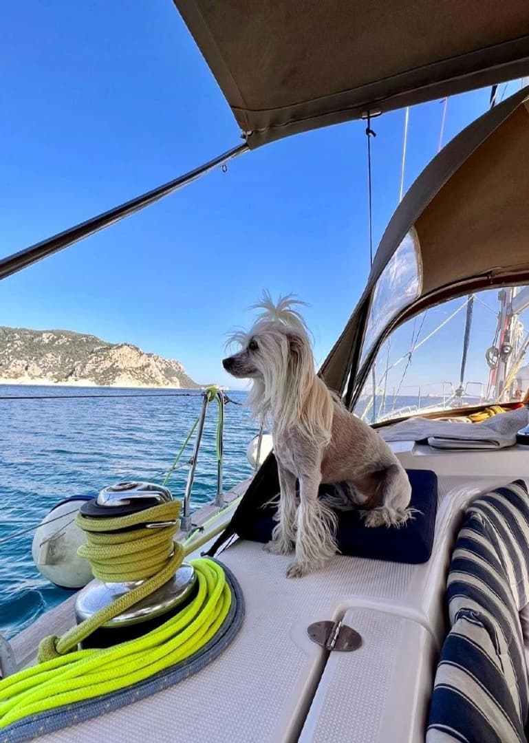 Week cruise on the Turkish sea - photo 2