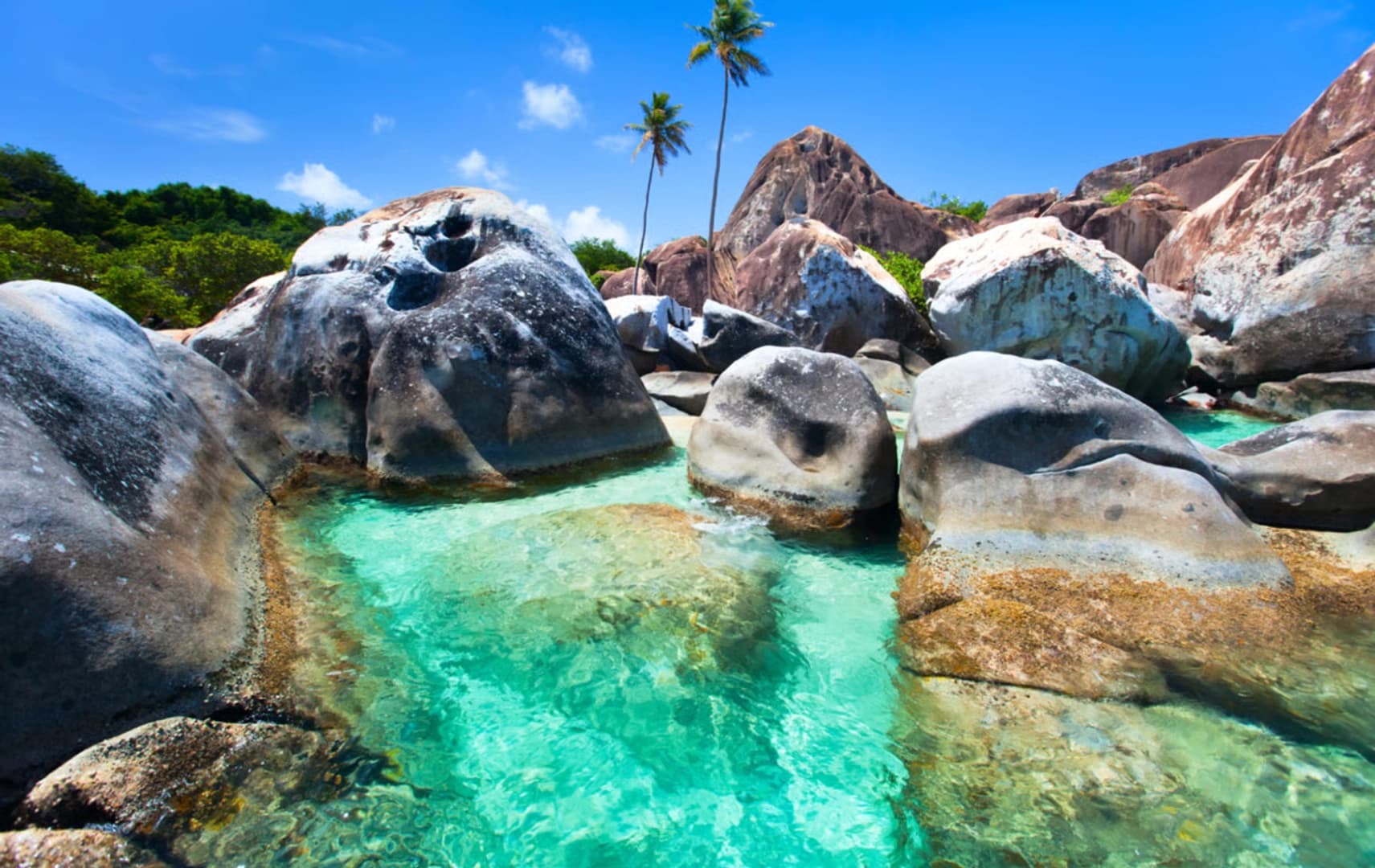 Tortola Dream Premium 2026: Cabin Charter - photo 9