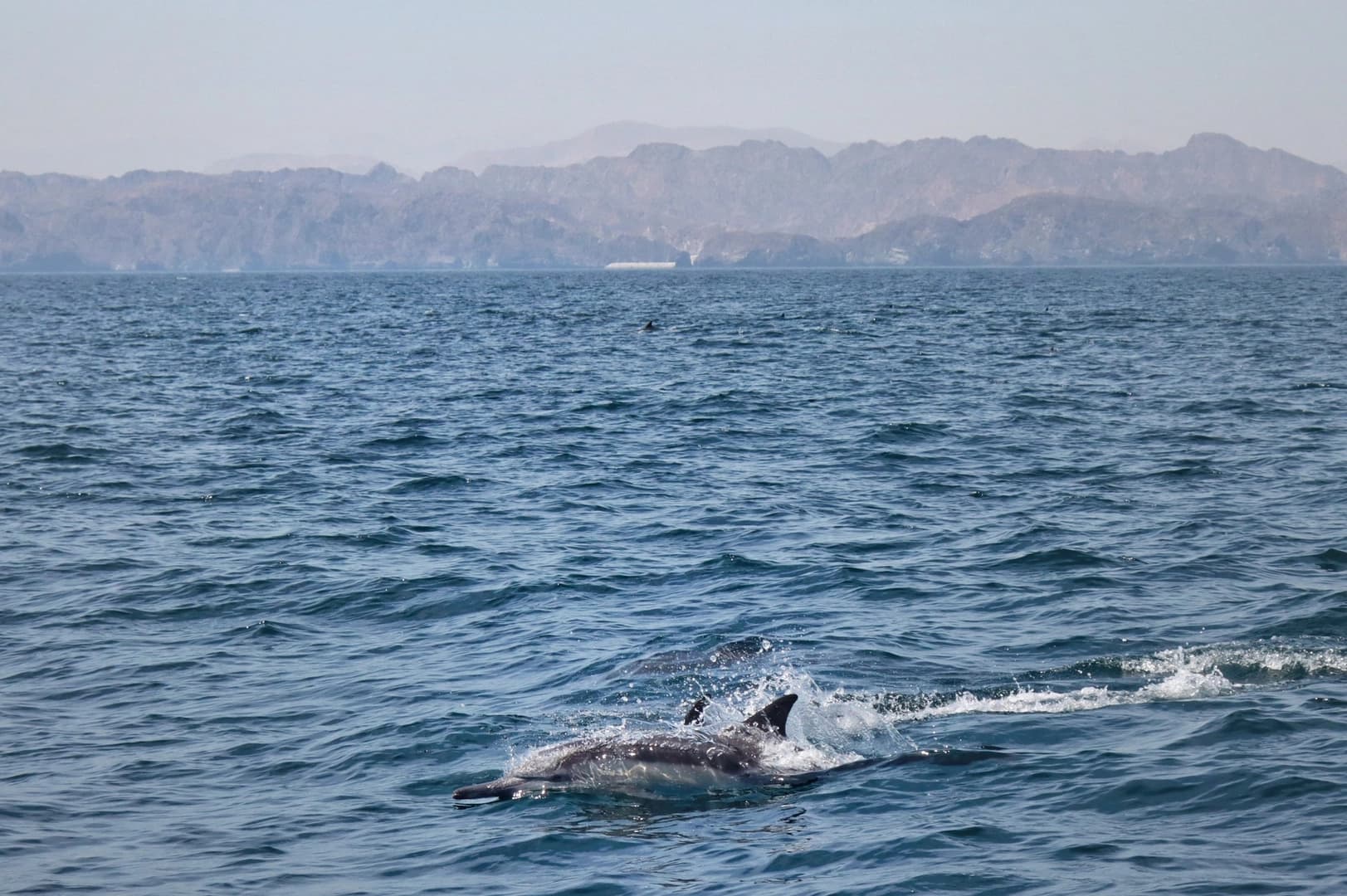 Private Coastal Escape on Gulf Craft 36ft - photo 7