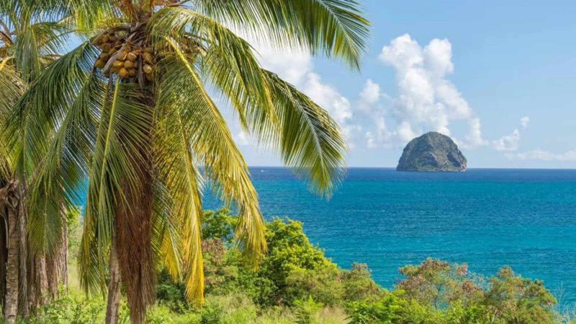 Caribbean Private Catamaran Cruises. Martinique - photo 14