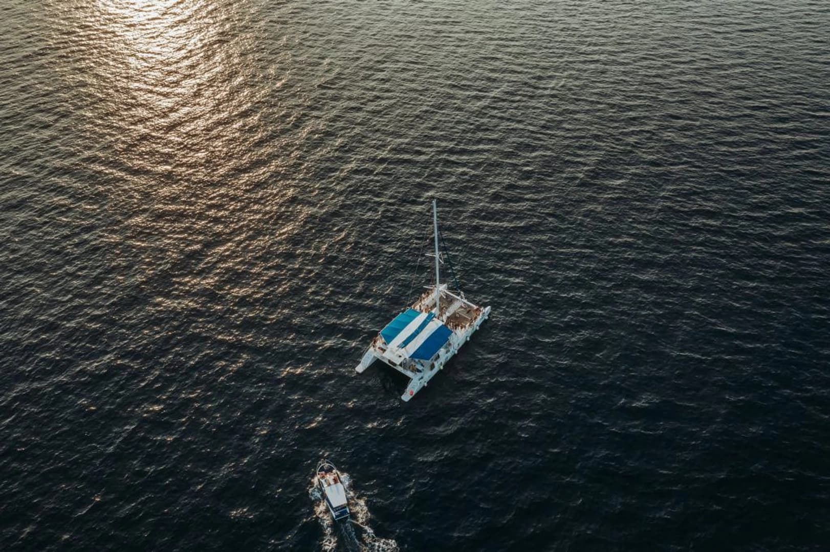 Tahiti Catamaran - photo 2