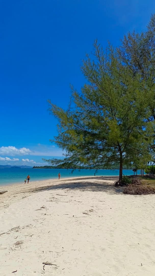 Monkey Paradise - photo 10