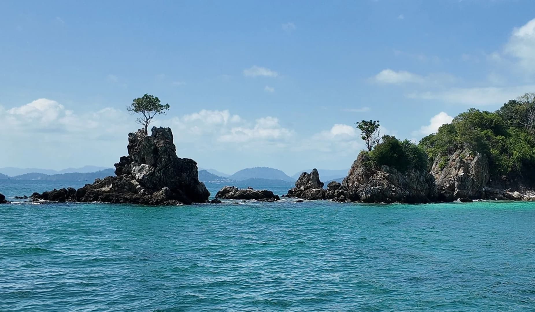 Tropical Paradise - photo 10