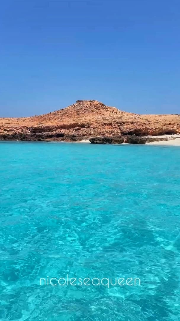 Discover the Daymaniyat Islands - photo 5