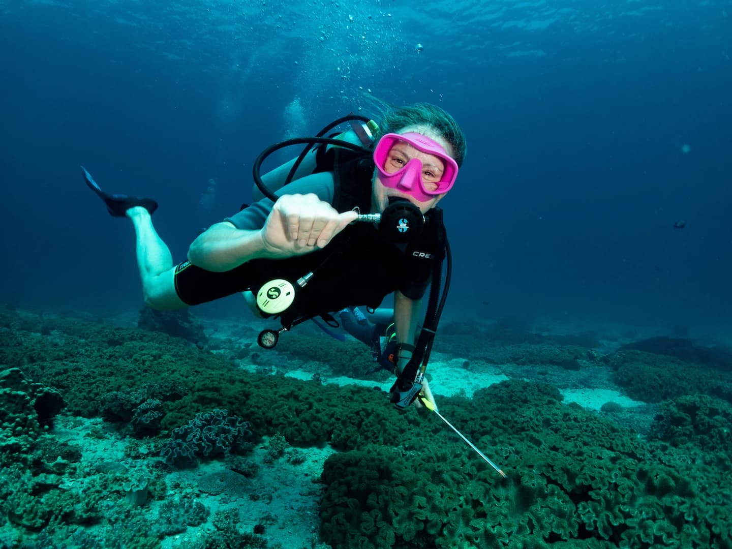 Discover the best dive sites in Oman - photo 12