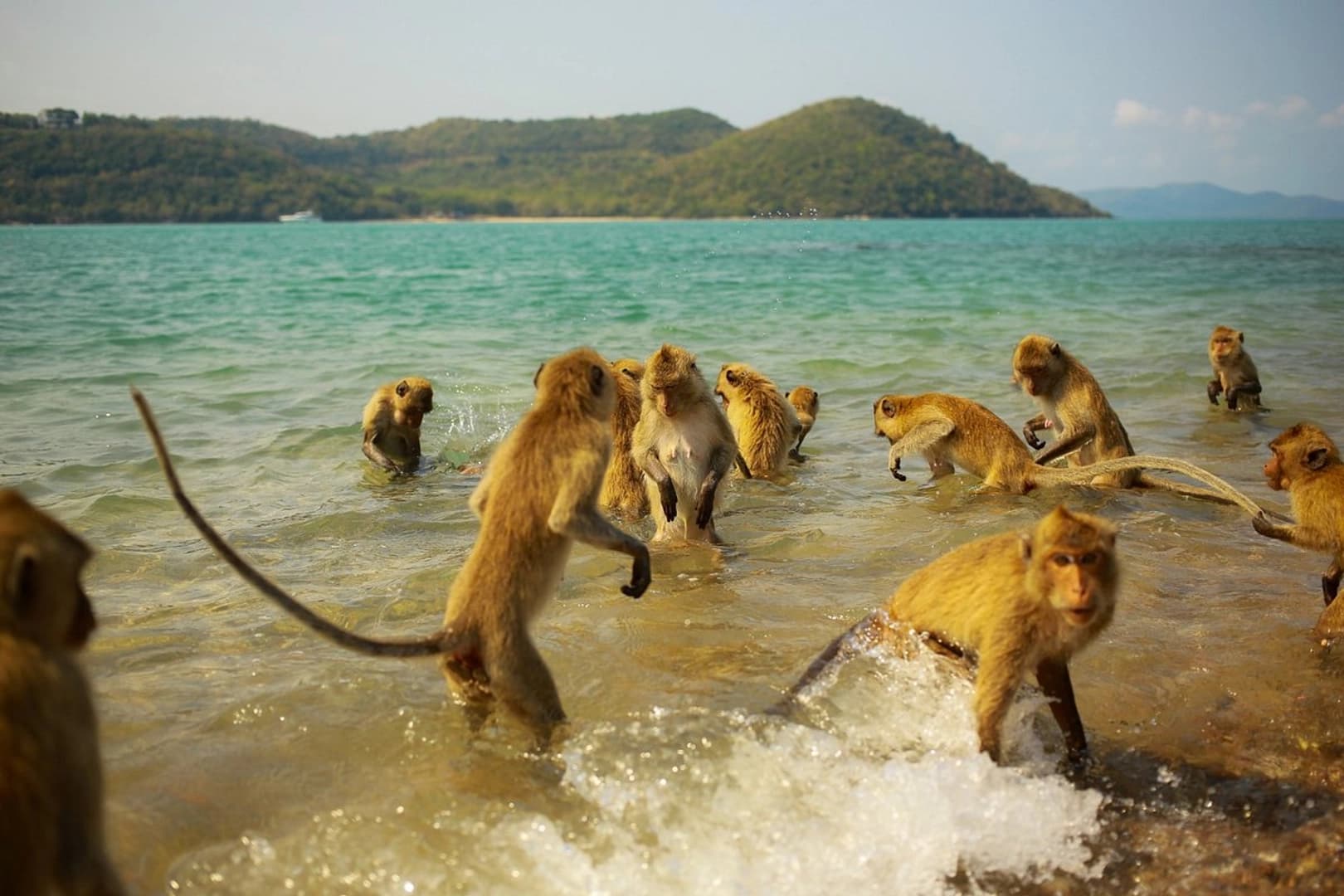 Half-Day Pattaya Island Tour - photo