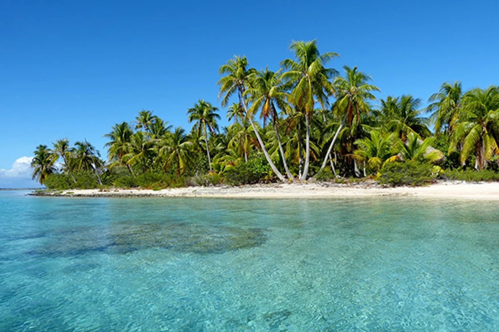 Vanilla Breeze: Overnight Tour around Taha’a - photo 4