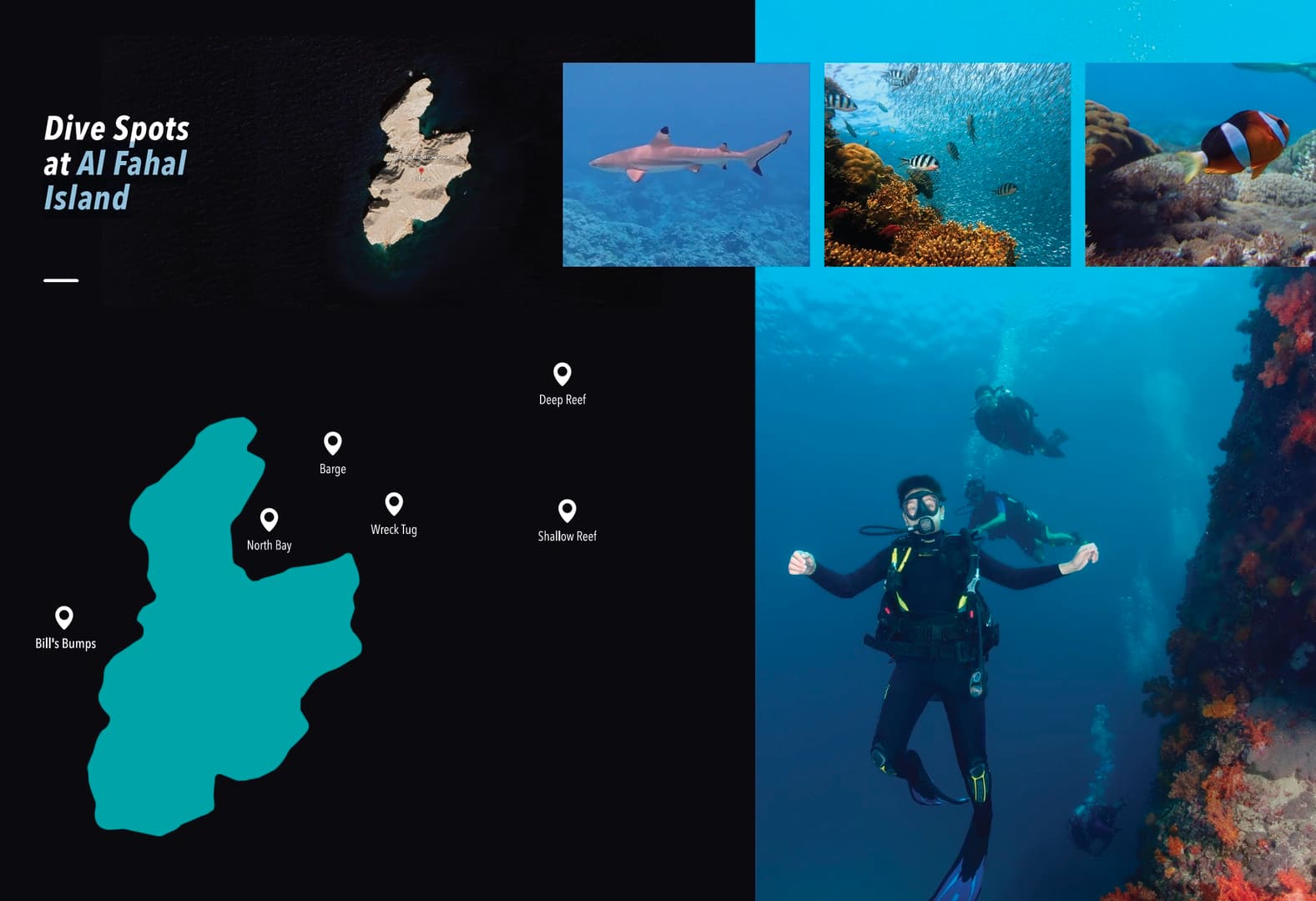 Discover the best diving spots in Oman (package tours) - photo 6