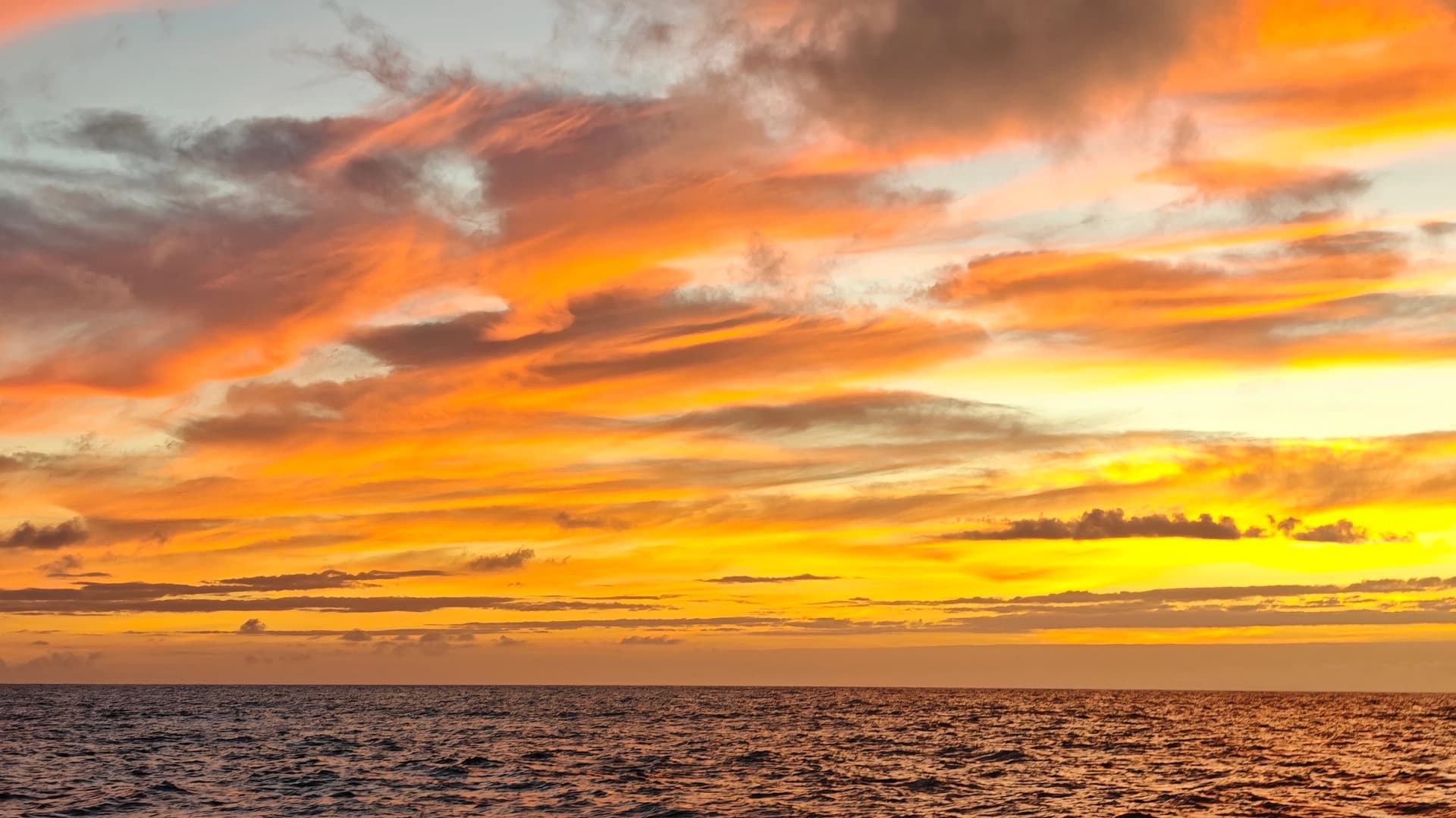 Voyage from Tenerife to Majorca - photo 11