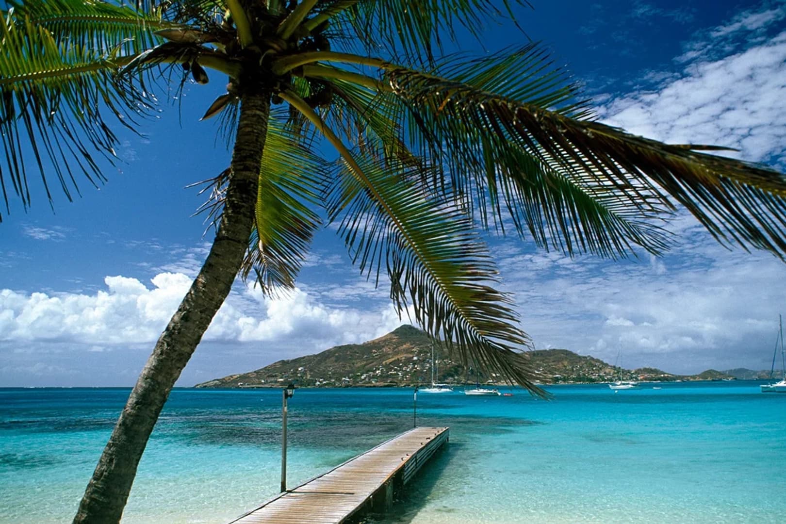 Vento di Liberta: Caribbean Voyage with a Private Guide - photo