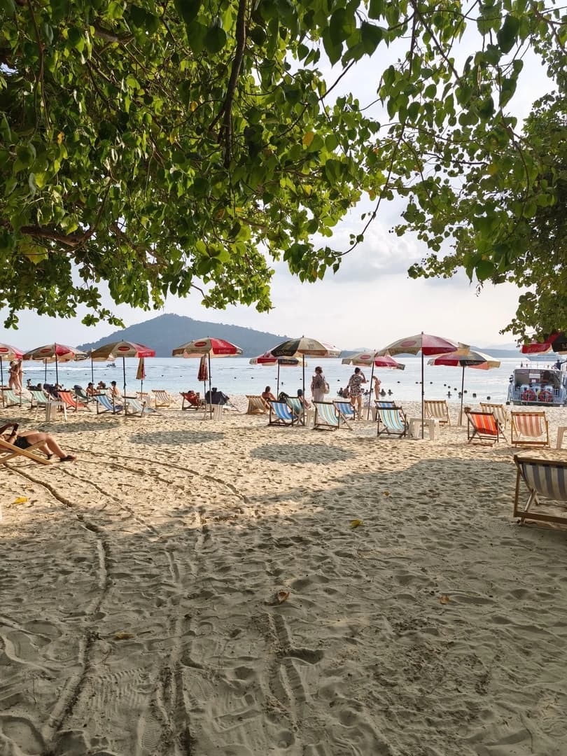 Tropical Paradise - photo 9