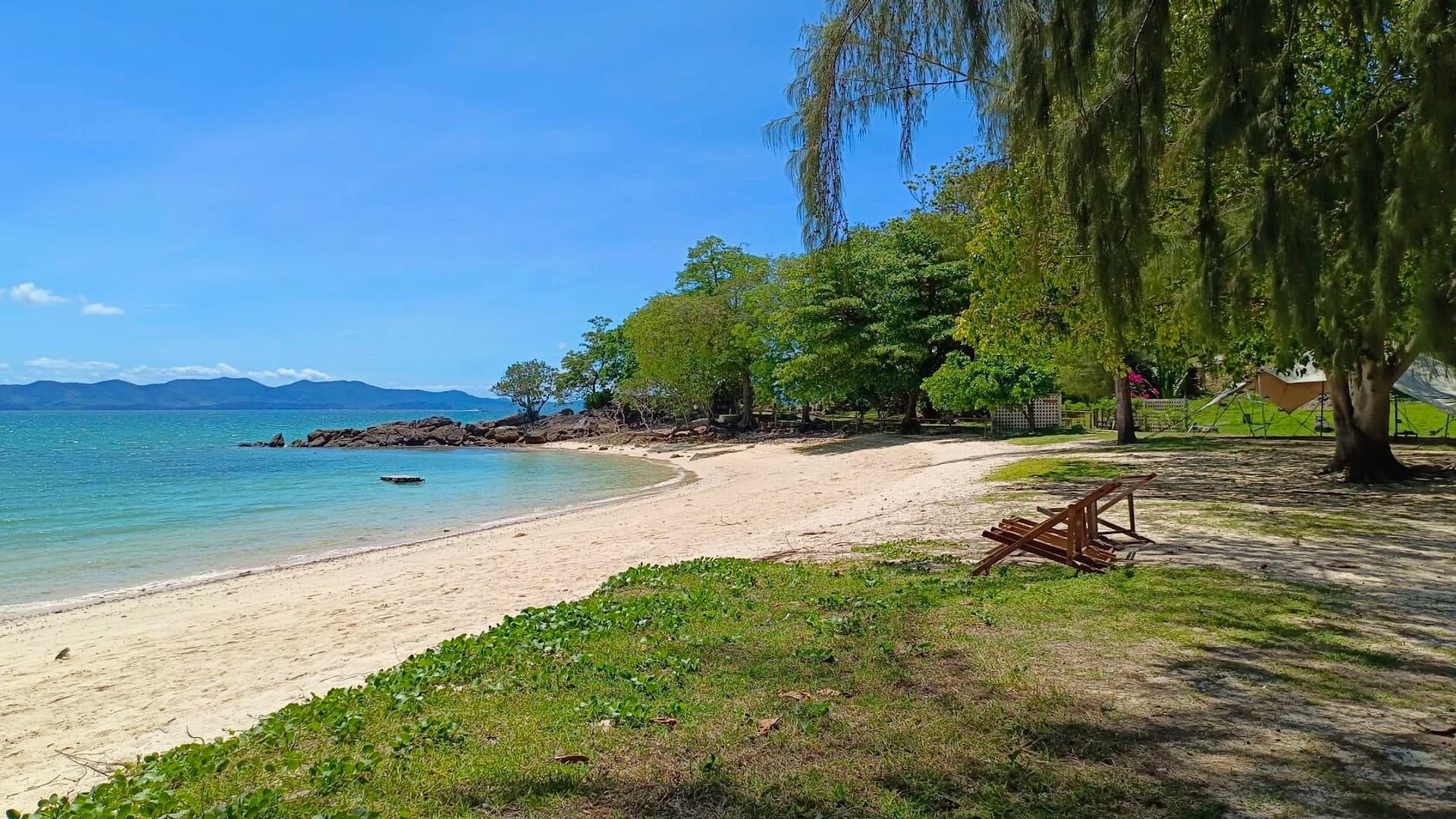 Monkey Paradise - photo 2