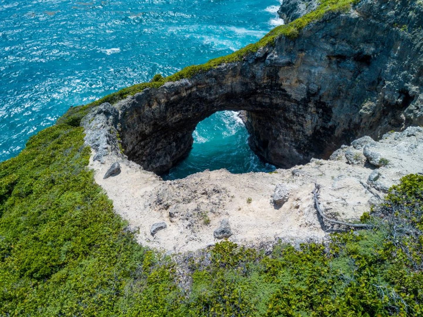 Guadeloupe Dream Premium 2026: Cabin Charter - photo 4