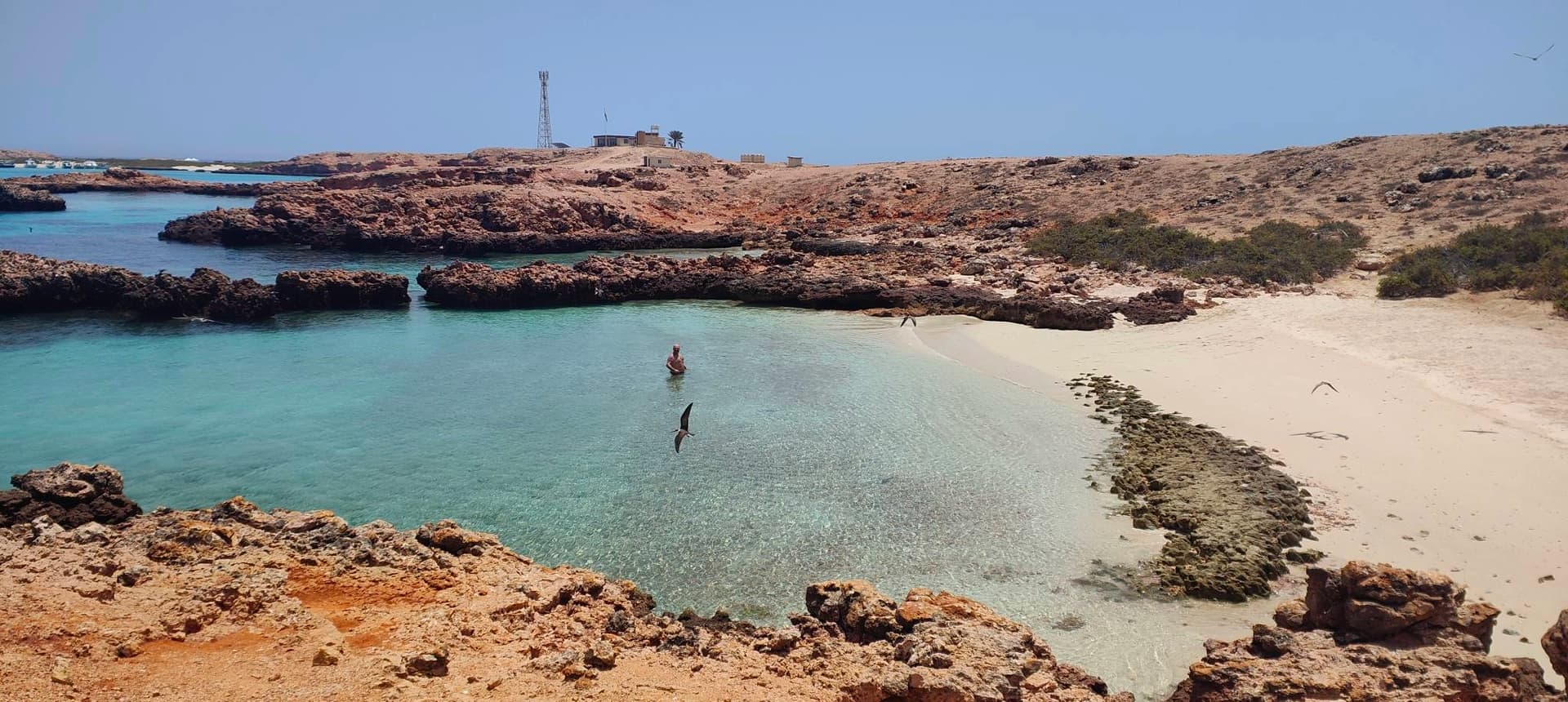 Discover the Daymaniyat Islands - photo 6