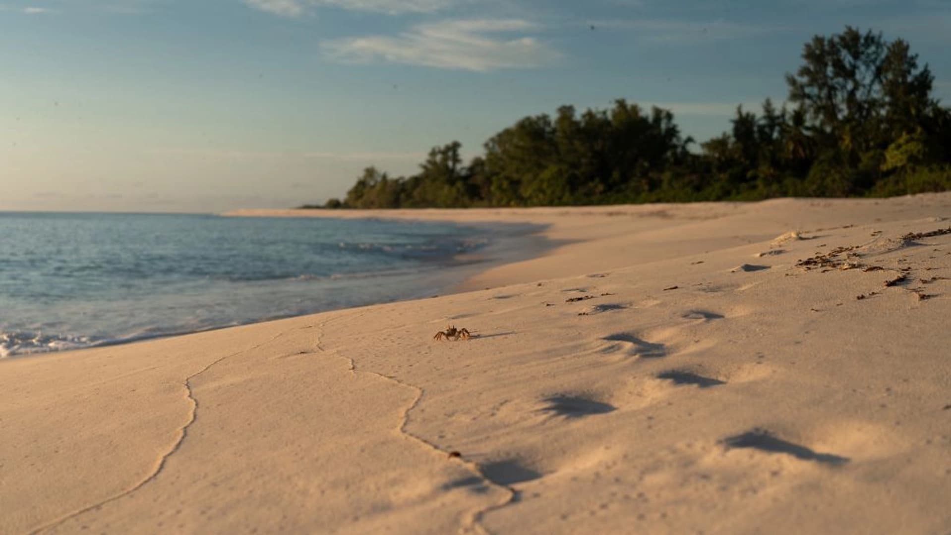 Praslin Dream Premium 2026: Cabin Charter - photo 10