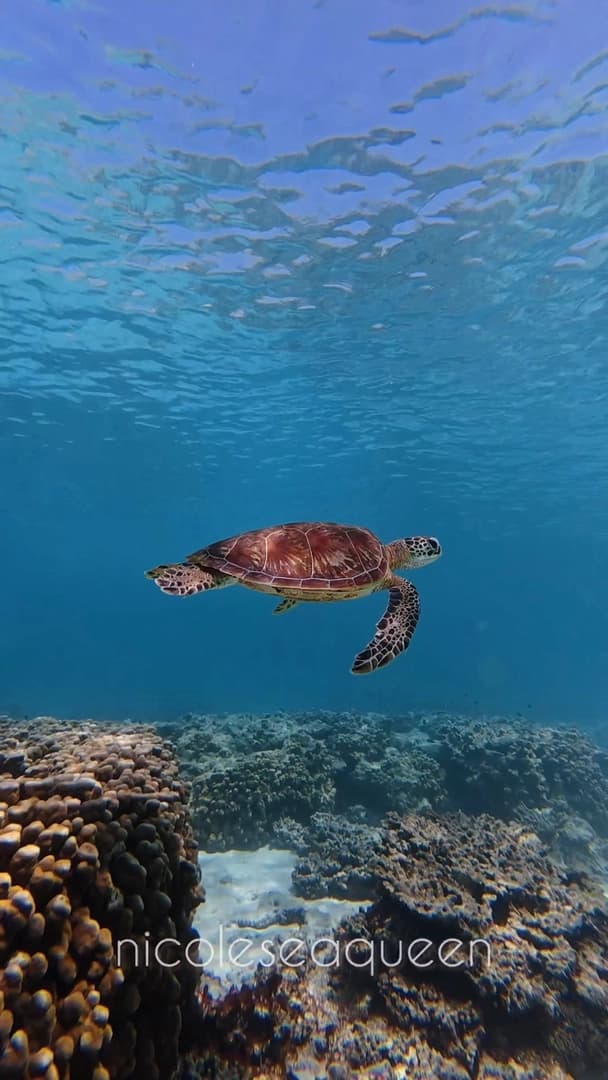 Night Yacht Cruise to the Daymaniyat Islands with LUBABAH - photo 4