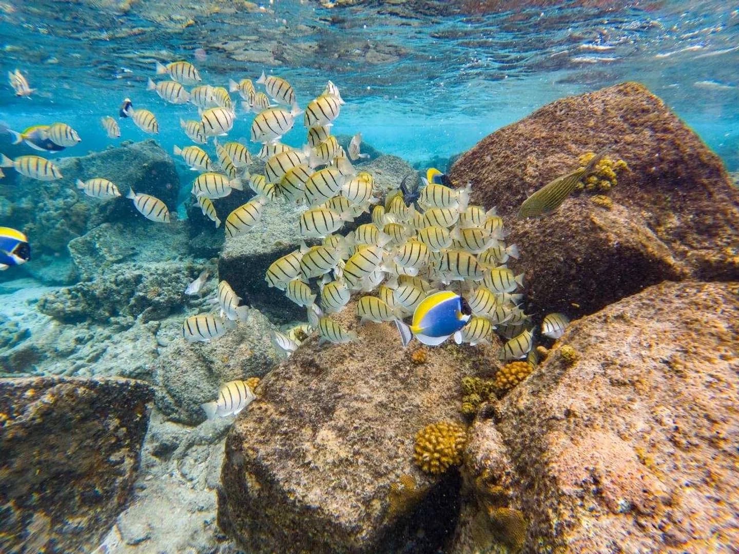 Catamaran tours in Thailand - photo 7