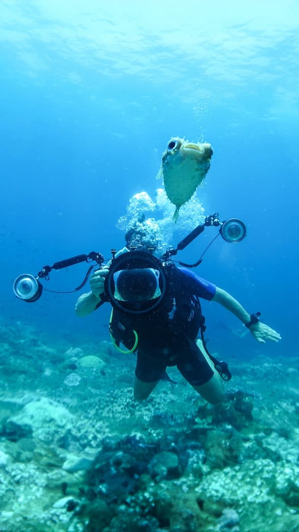 Discover the best diving spots in Oman (package tours) - photo 19