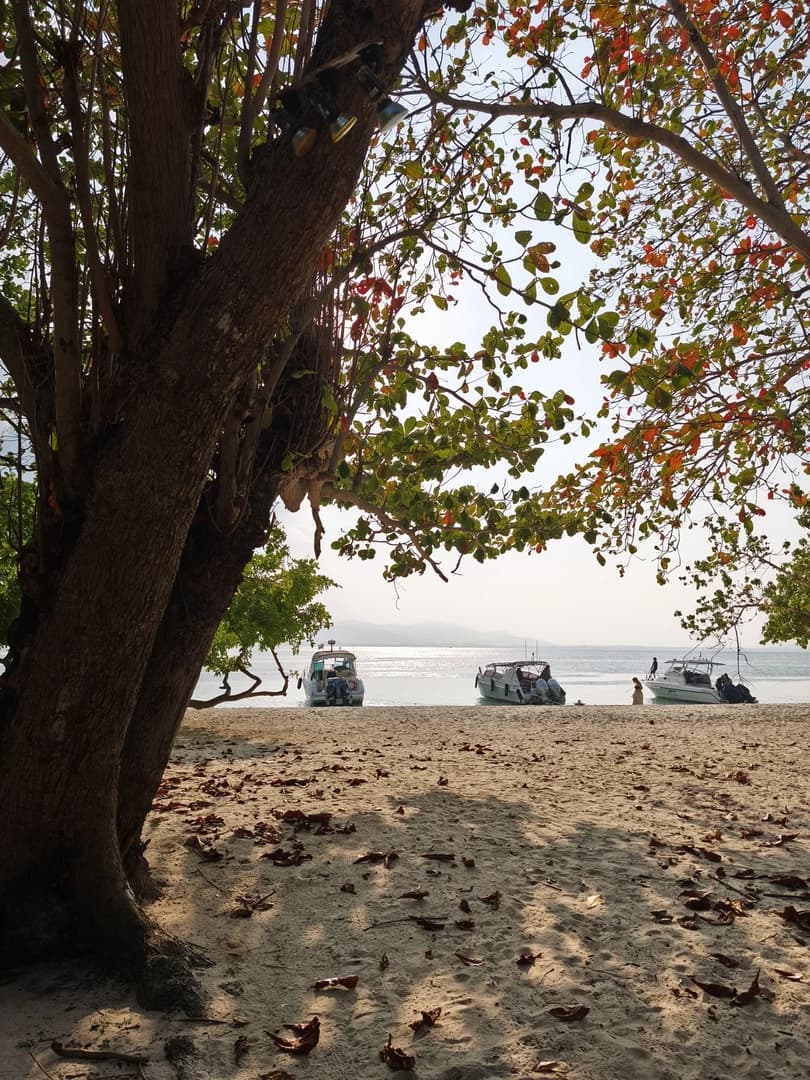 Santiya Island Triangle - photo 9