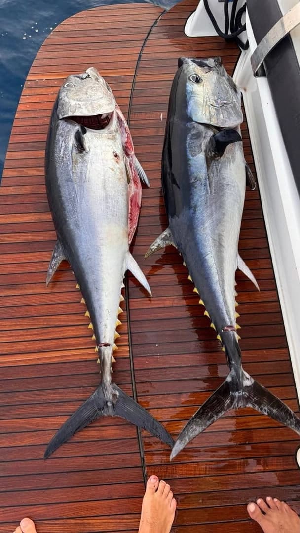 Deep-Sea Trolling - photo 10