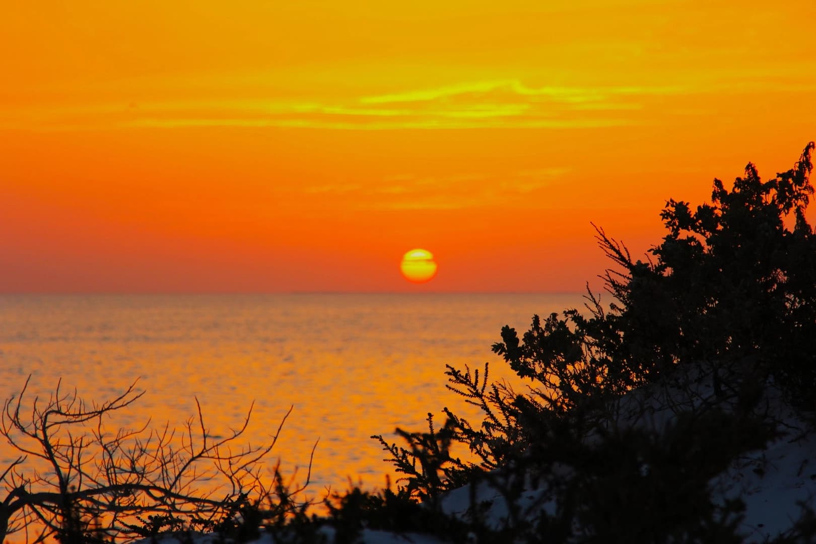 Discover the Daymaniyat Islands - photo 9