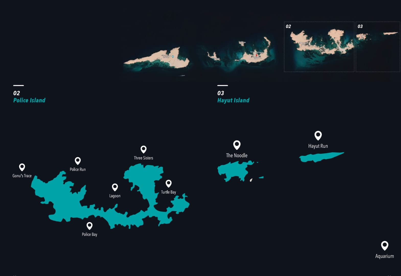 Discover the best dive sites in Oman - photo 5