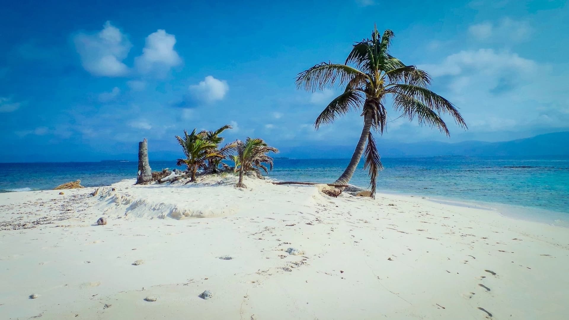 Coastal Panama: Cabin Charter by San Blas Sailing - 6 days - photo 15