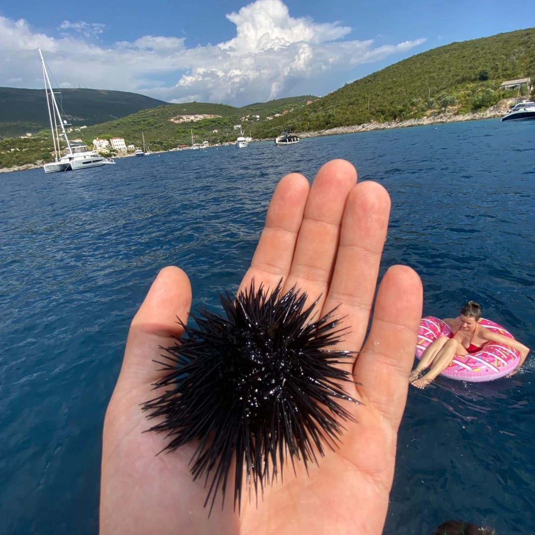 Between the islands and cities of the Adriatic: private sailing yacht cruise - photo 6