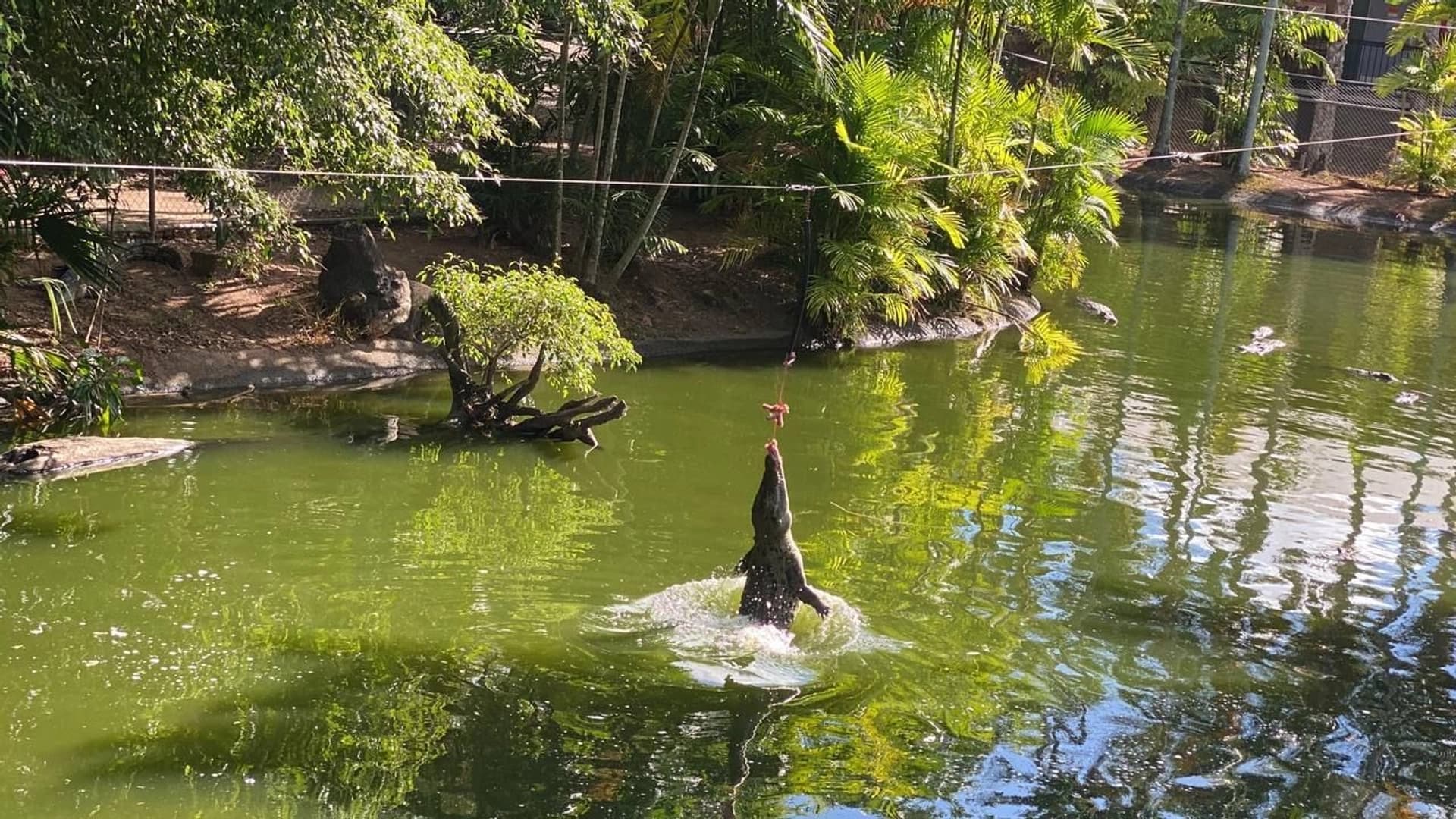 Australia | Brisbane – Darwin - photo 7