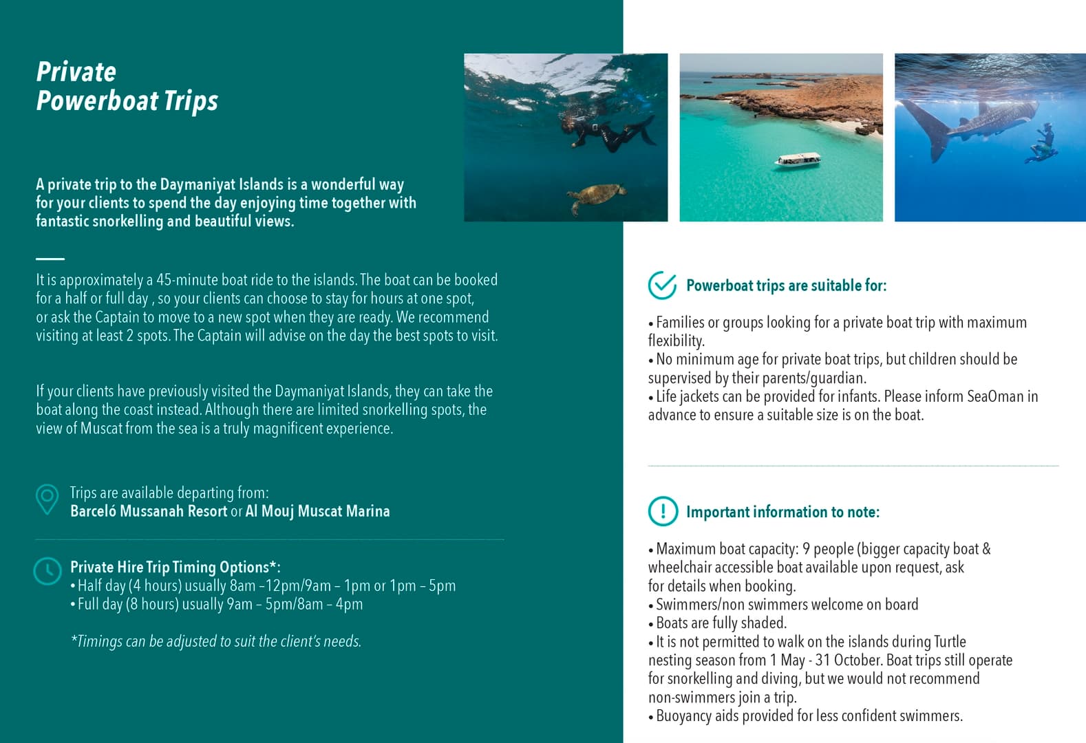 Private Cruise to the Daymaniyat Islands - photo 14