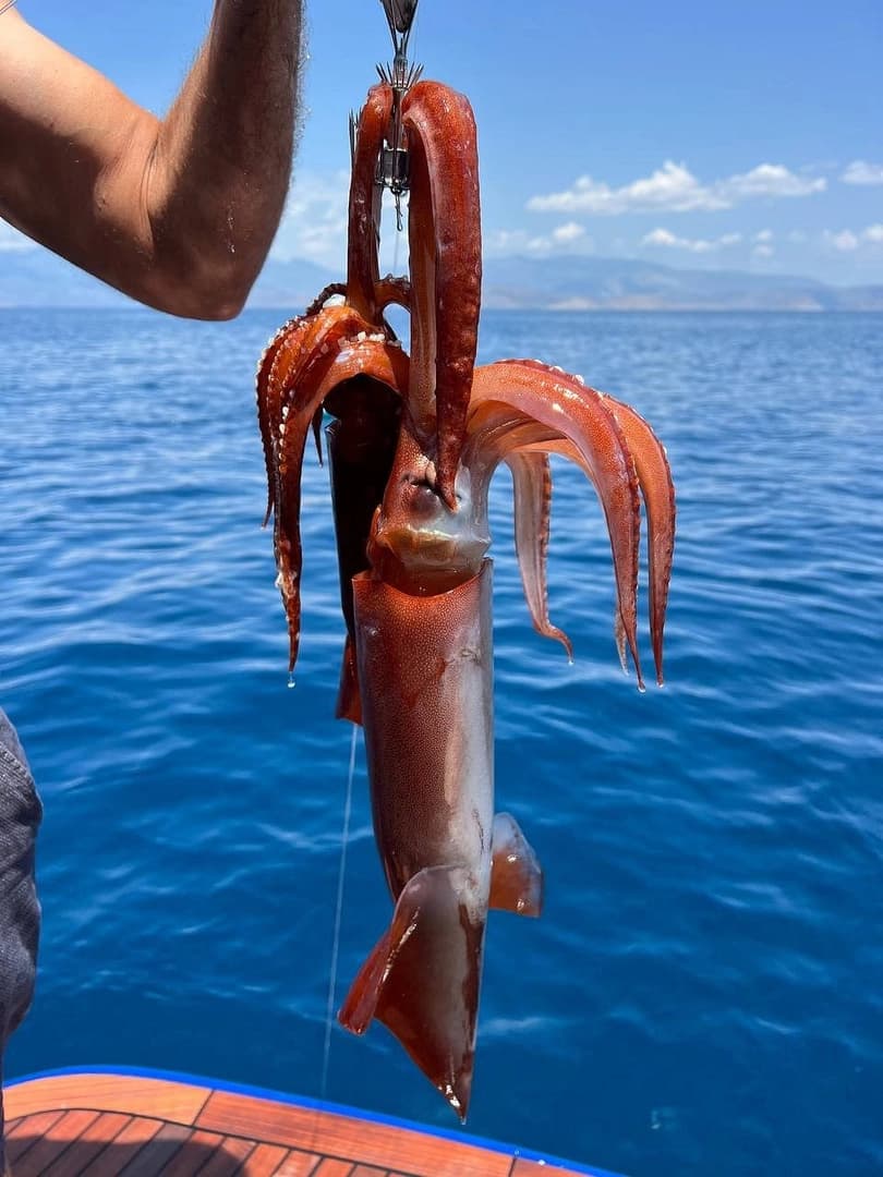 Epic Sea Fishing - photo 11