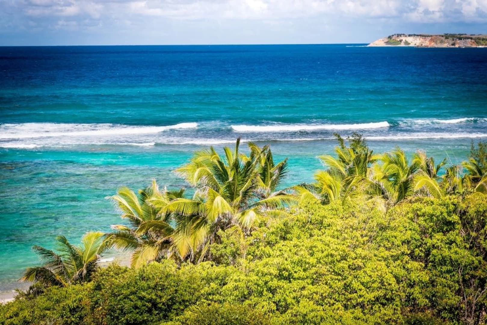 St. Barth Dream Premium 2026: Cabin Charter - photo 2