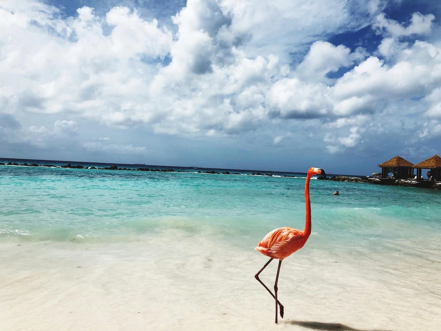 The Enchanted Island: Sailing & Safari around Zanzibar - photo 8