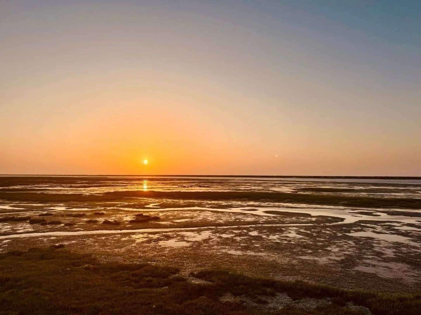 Discover the Daymaniyat Islands - photo 2