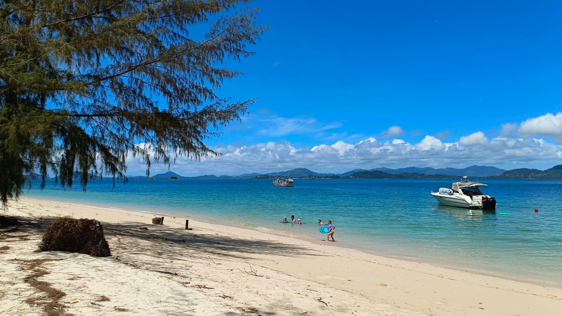 Monkey Paradise - photo 4