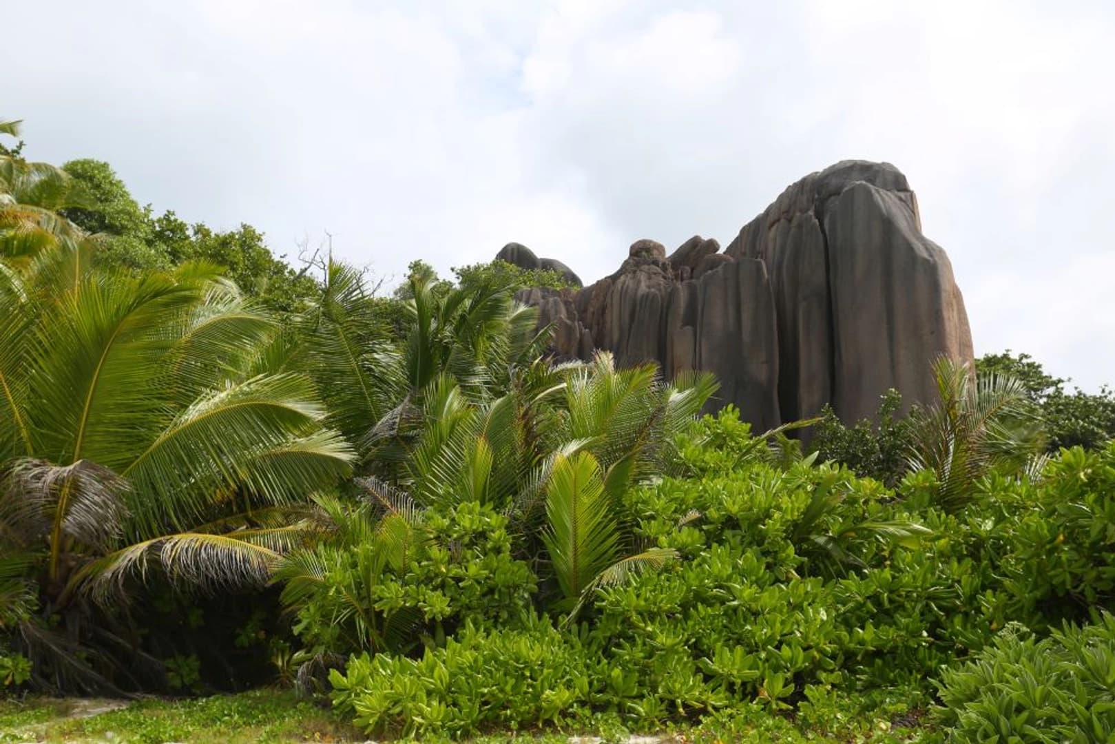 Silhouette Dream Premium 2026: Cabin Charter - photo 6