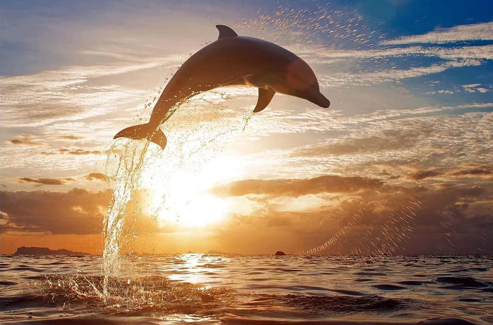 Coastal & Sunset Trip - photo 5