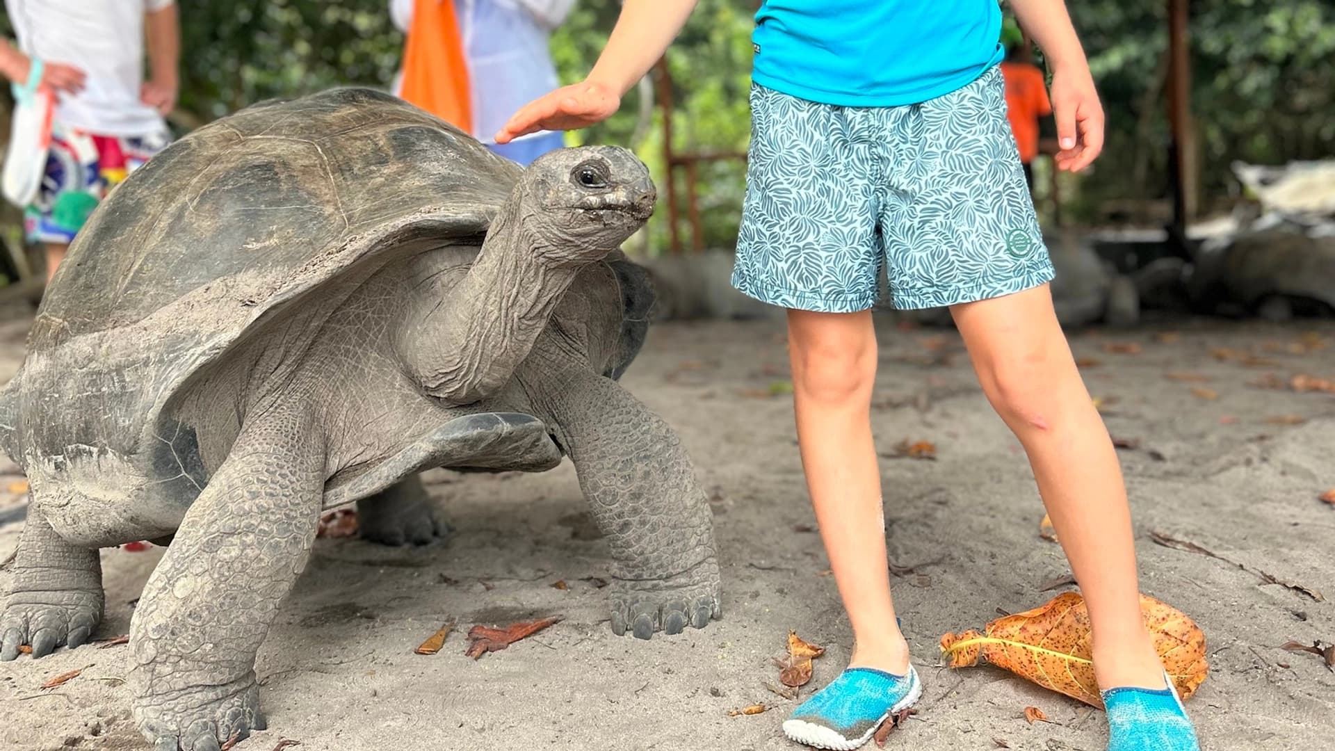 Heavenly Seychelles - photo 2