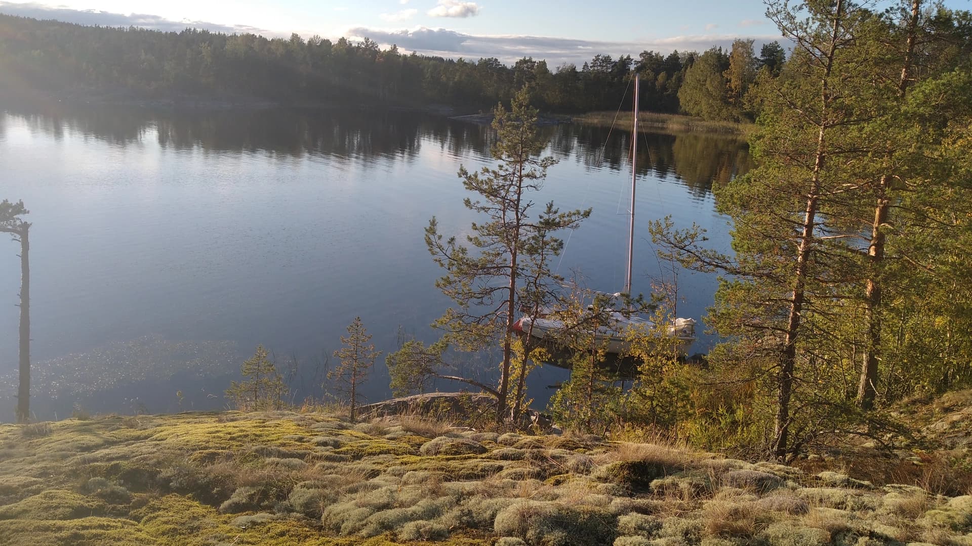 Discover the beauty of the Ladoga Skerries in one day — including transfers. - photo 2