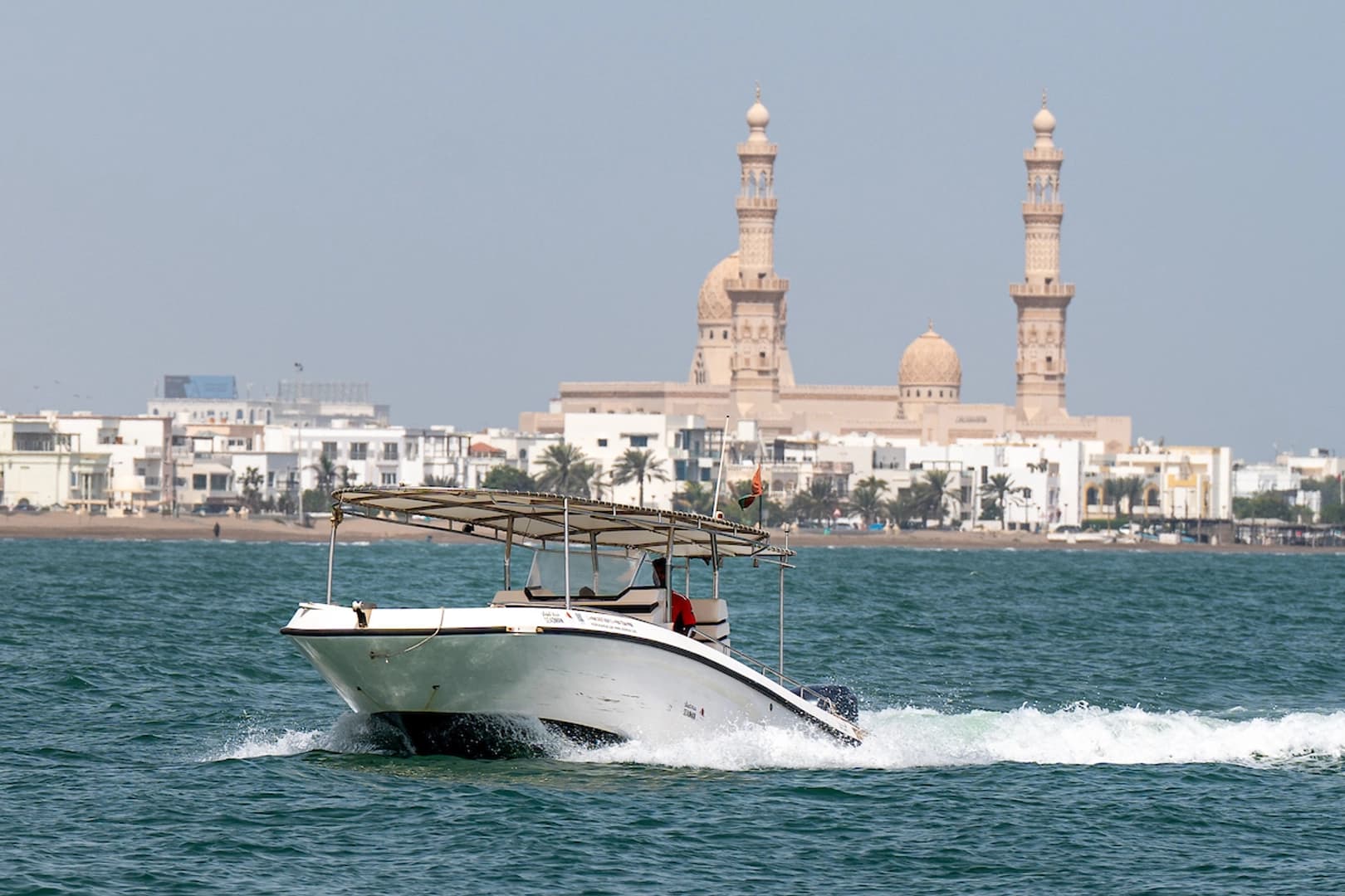 Private Cruise to the Daymaniyat Islands - photo 4