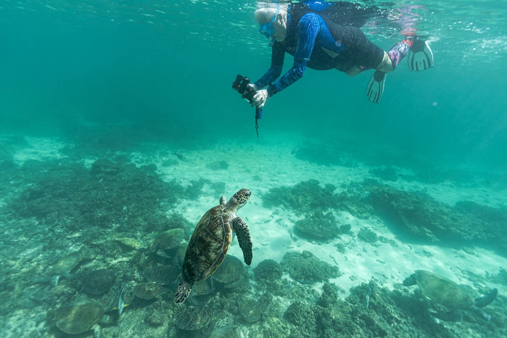 Private Cruise to the Daymaniyat Islands - photo 9
