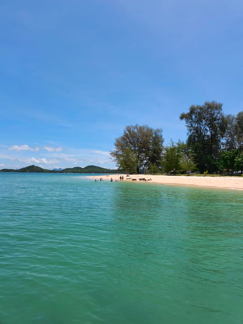 Monkey Paradise - photo 8