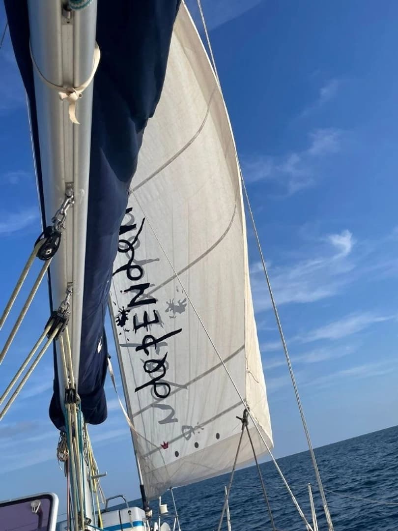 Harmony 42 - photo 4