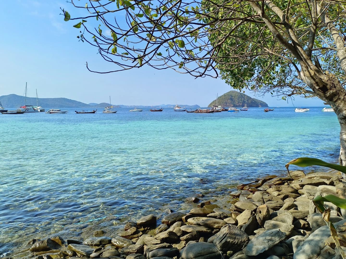 Fish Point - photo 6