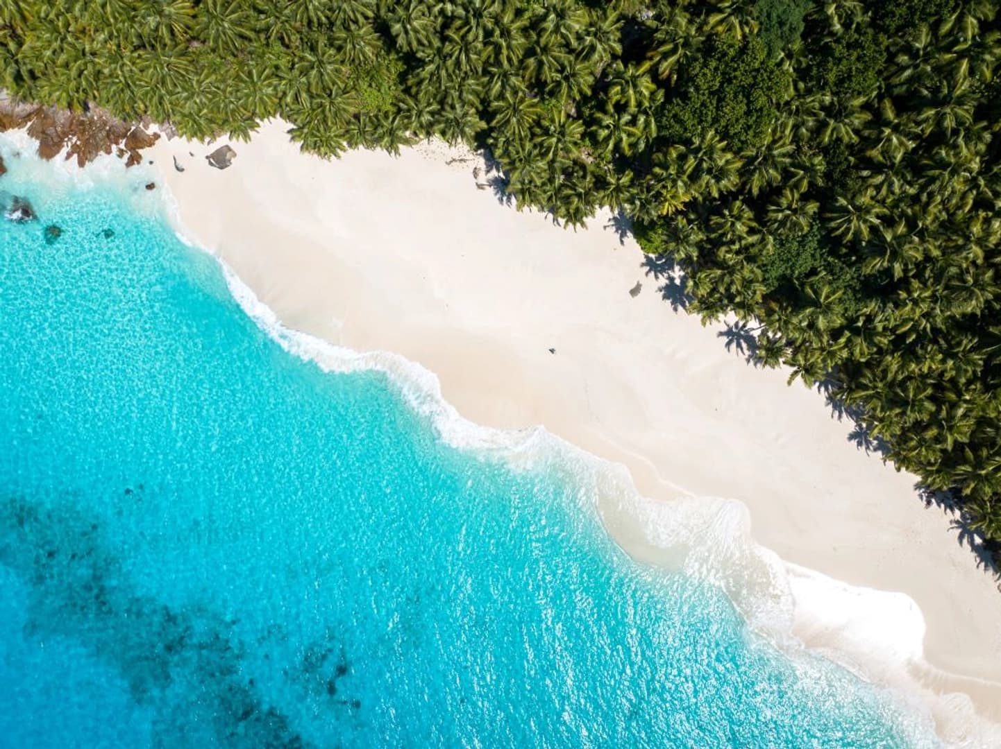 Silhouette Dream Premium 2026: Cabin Charter - photo 10