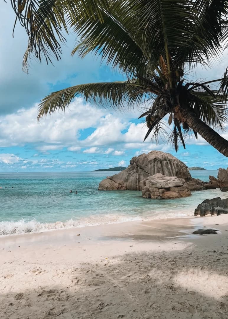 The Seychelles Paradise on a Catamaran - photo 4